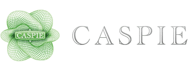 Logo convenzione CASPIE